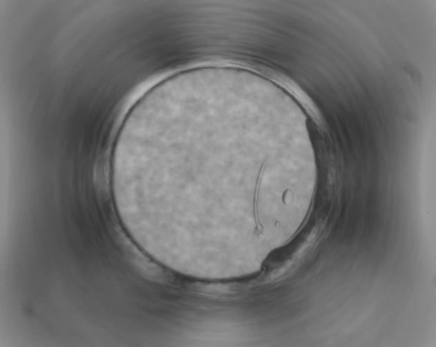 X0000113251004200910221117