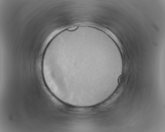 X0000113251005200910221117