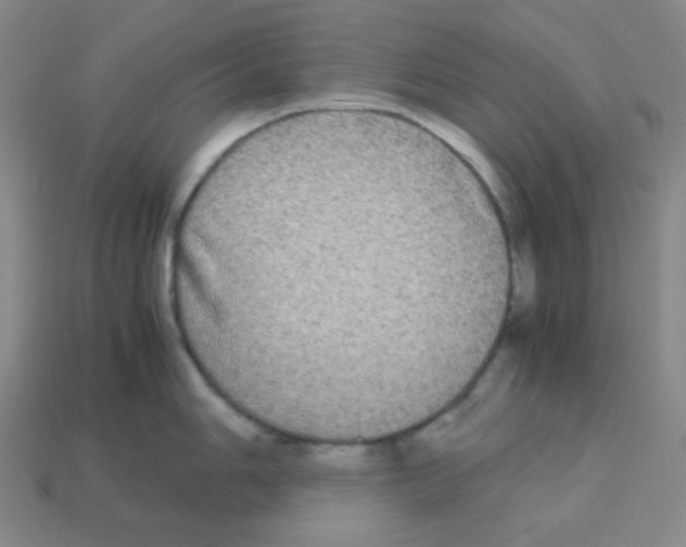 X0000113251006200910221117