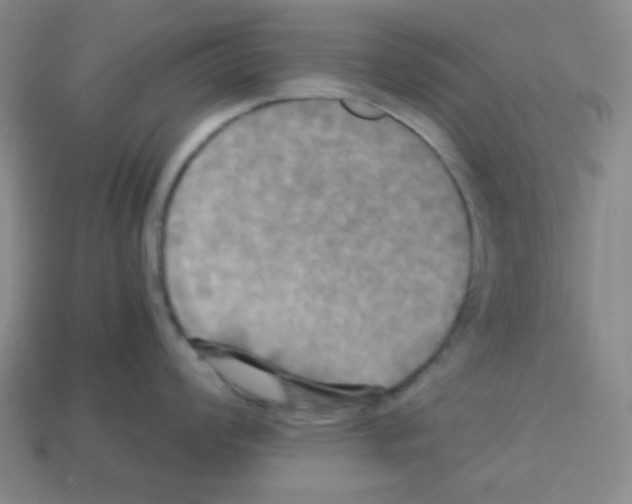 X0000113251008200910221117