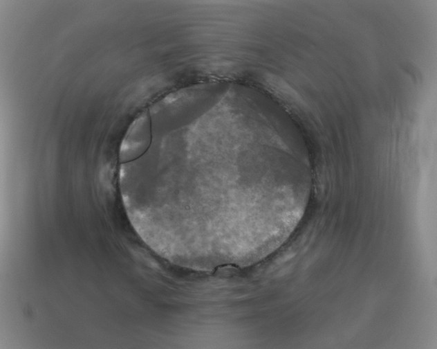 X0000113251010200910221116