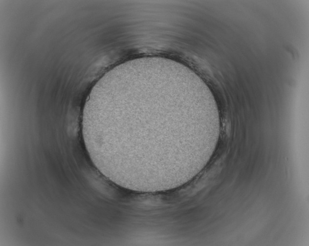 X0000113251012200910221116