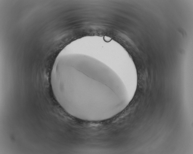 X0000113251013200910221116