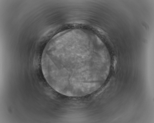 X0000113251014200910221116