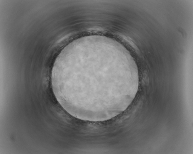 X0000113251015200910221116