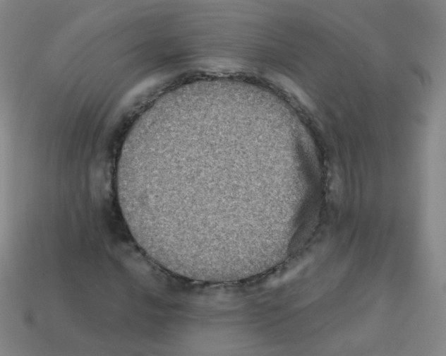 X0000113251016200910221116