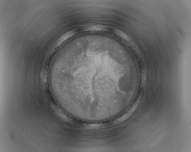 X0000113251017200910221116