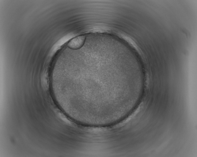 X0000113251018200910221116