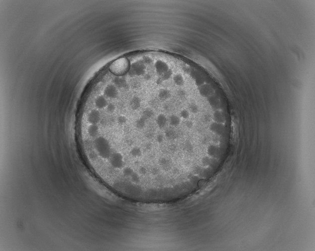 X0000113251020200910221116