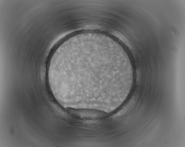 X0000113251021200910221116