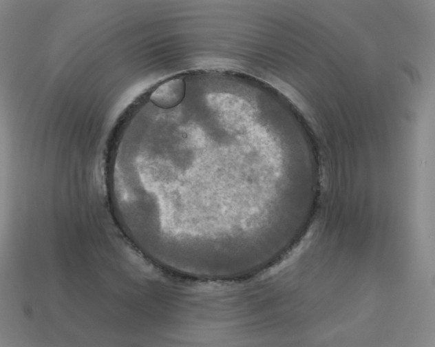 X0000113251022200910221116