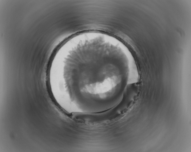 X0000113251024200910221116