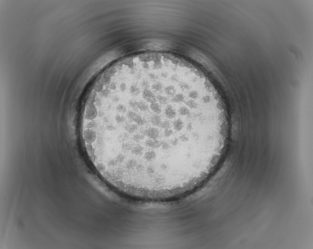 X0000113251026200910221117