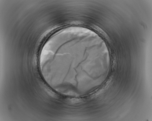 X0000113251027200910221117