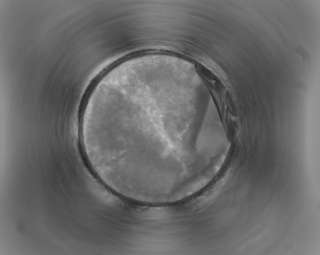 X0000113251028200910221117