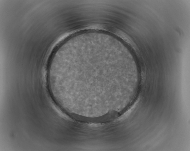 X0000113251029200910221117