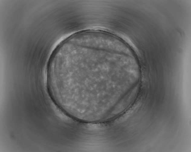 X0000113251032200910221117