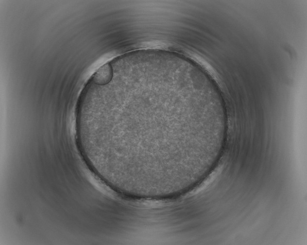 X0000113251034200910221117