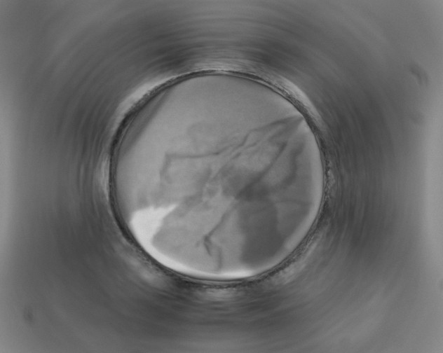 X0000113251035200910221117