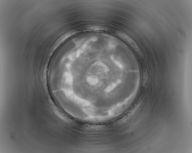 X0000113251039200910221117