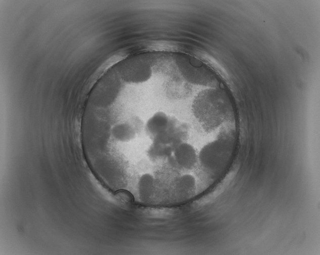 X0000113251041200910221117