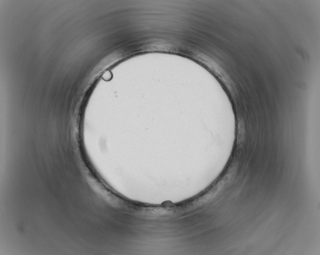 X0000113251042200910221117