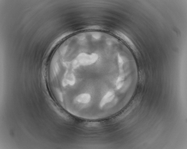 X0000113251043200910221117