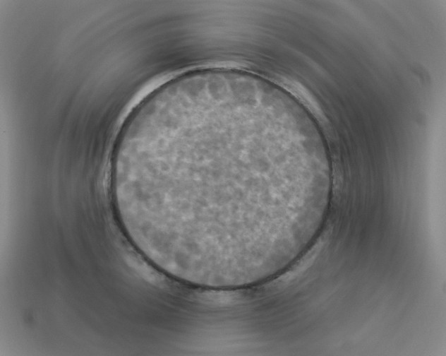 X0000113251044200910221117