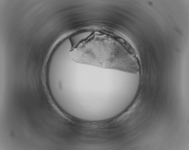 X0000113251045200910221117