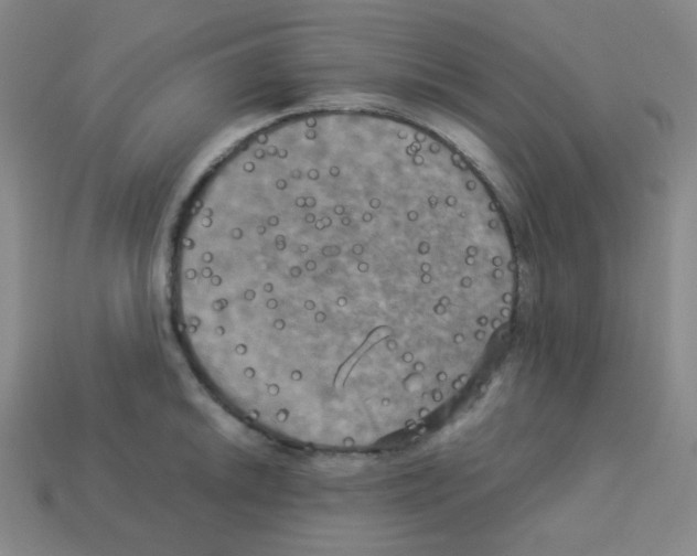 X0000113251046200910221117