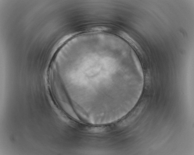 X0000113251047200910221117