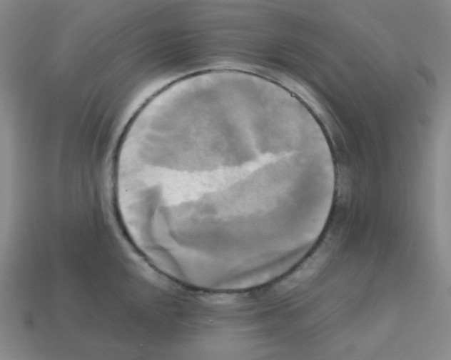 X0000113251048200910221117