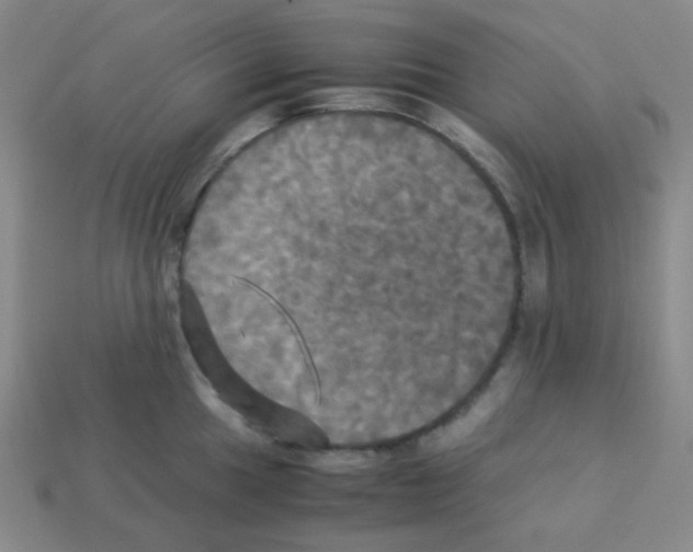 X0000113251049200910221117