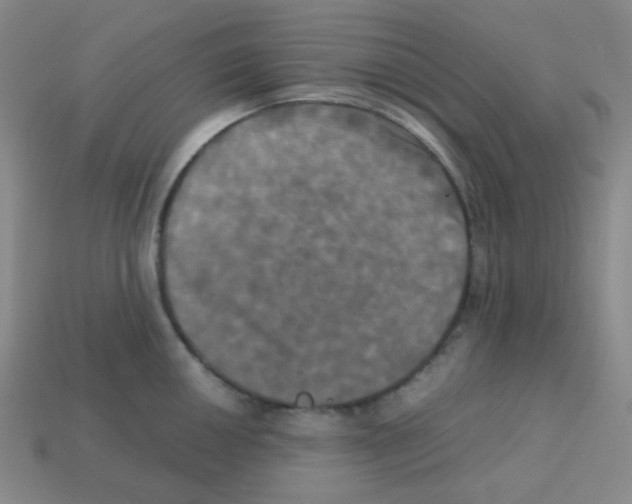 X0000113251050200910221117