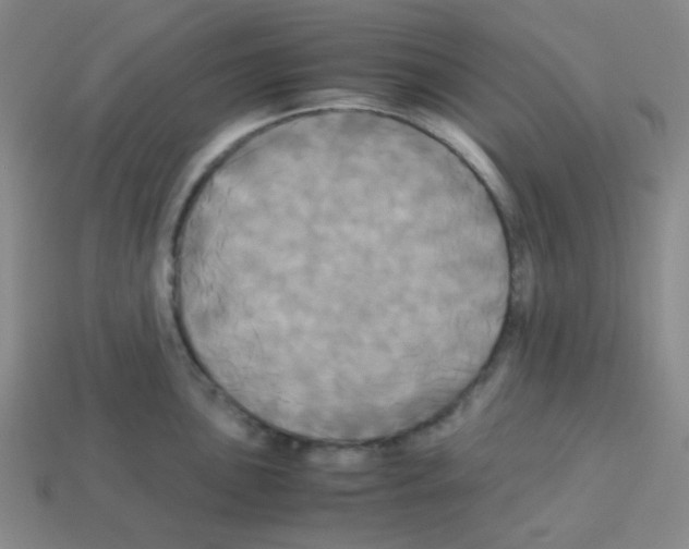 X0000113251051200910221117