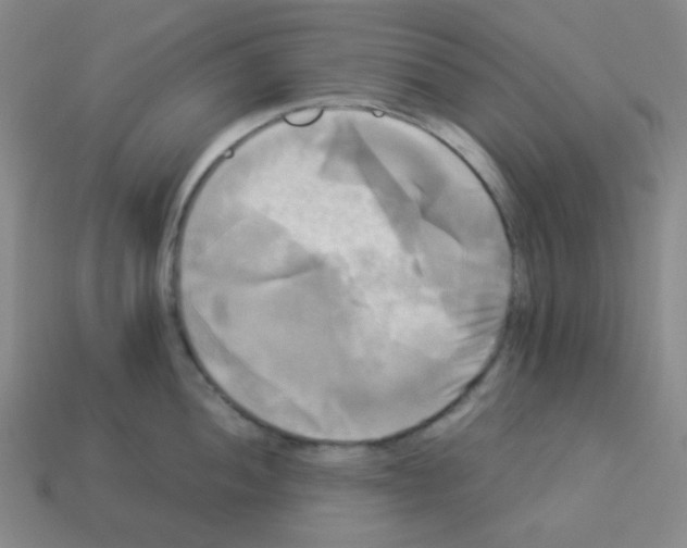 X0000113251052200910221117