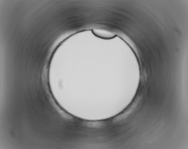 X0000113251053200910221117