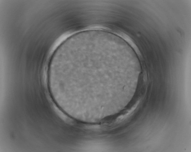 X0000113251054200910221117