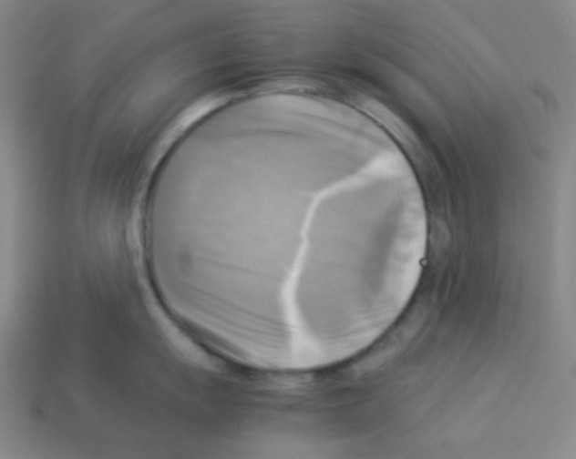 X0000113251055200910221117