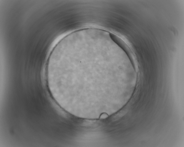 X0000113251056200910221117