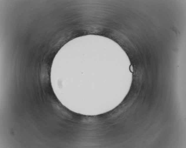 X0000113251058200910221116