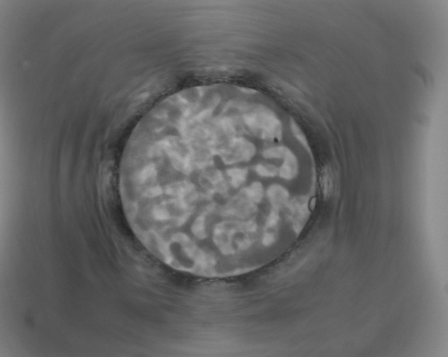 X0000113251059200910221116