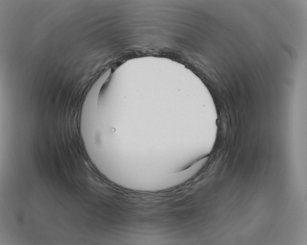 X0000113251060200910221116