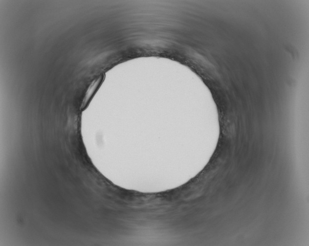 X0000113251061200910221116