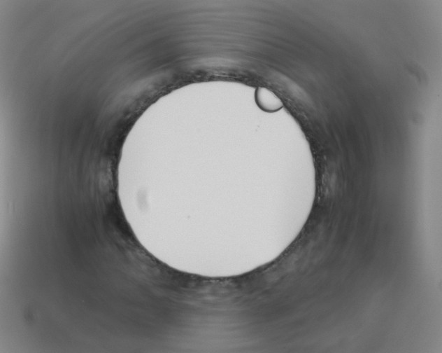 X0000113251062200910221116