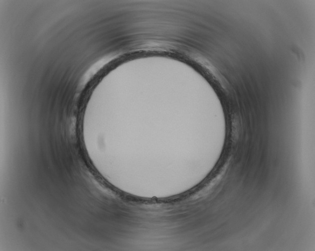 X0000113251066200910221116