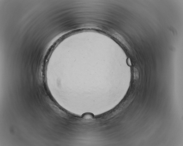 X0000113251068200910221116