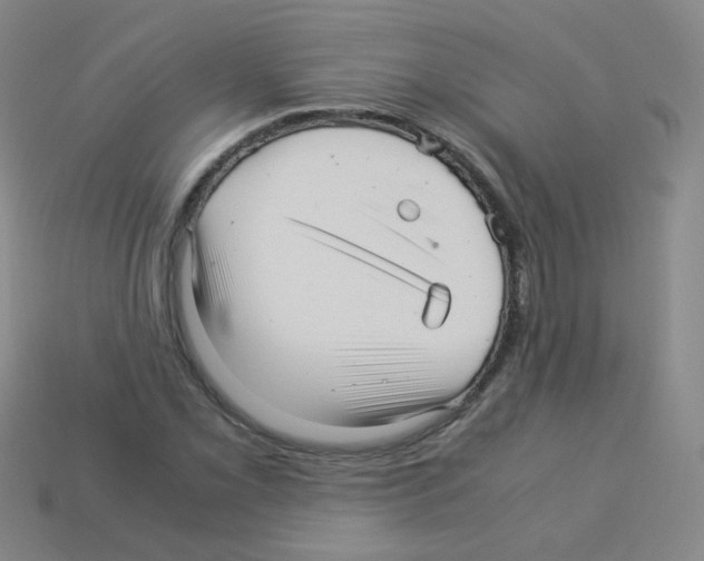 X0000113251069200910221116