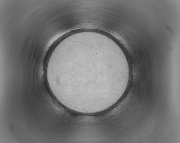 X0000113251070200910221116