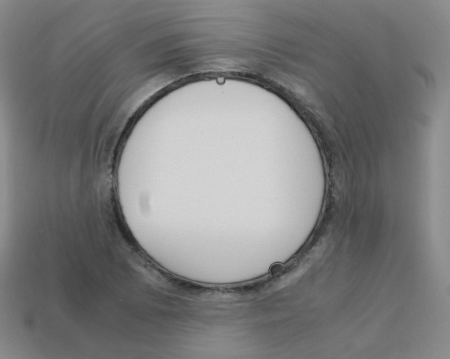 X0000113251073200910221116